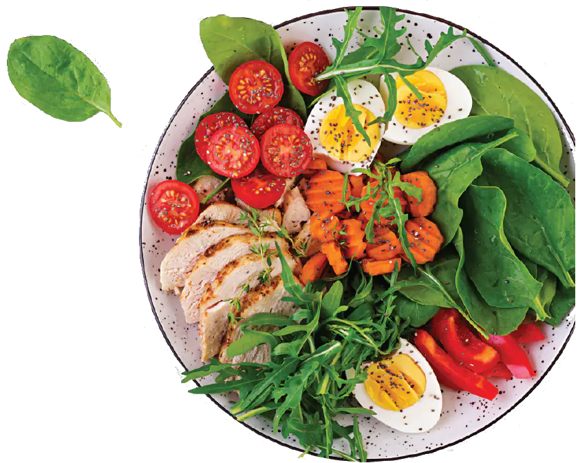 Здоровая тарелка меню. Тарелка правильного питания. Тарелка с едой. Тарелка с овощами. Правильное питание без фона.